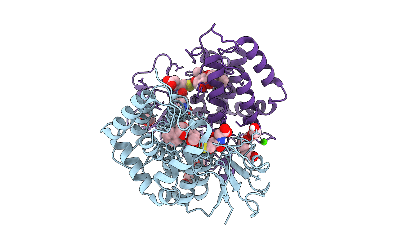 6F6A image