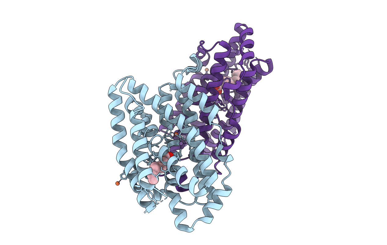 6F6K image