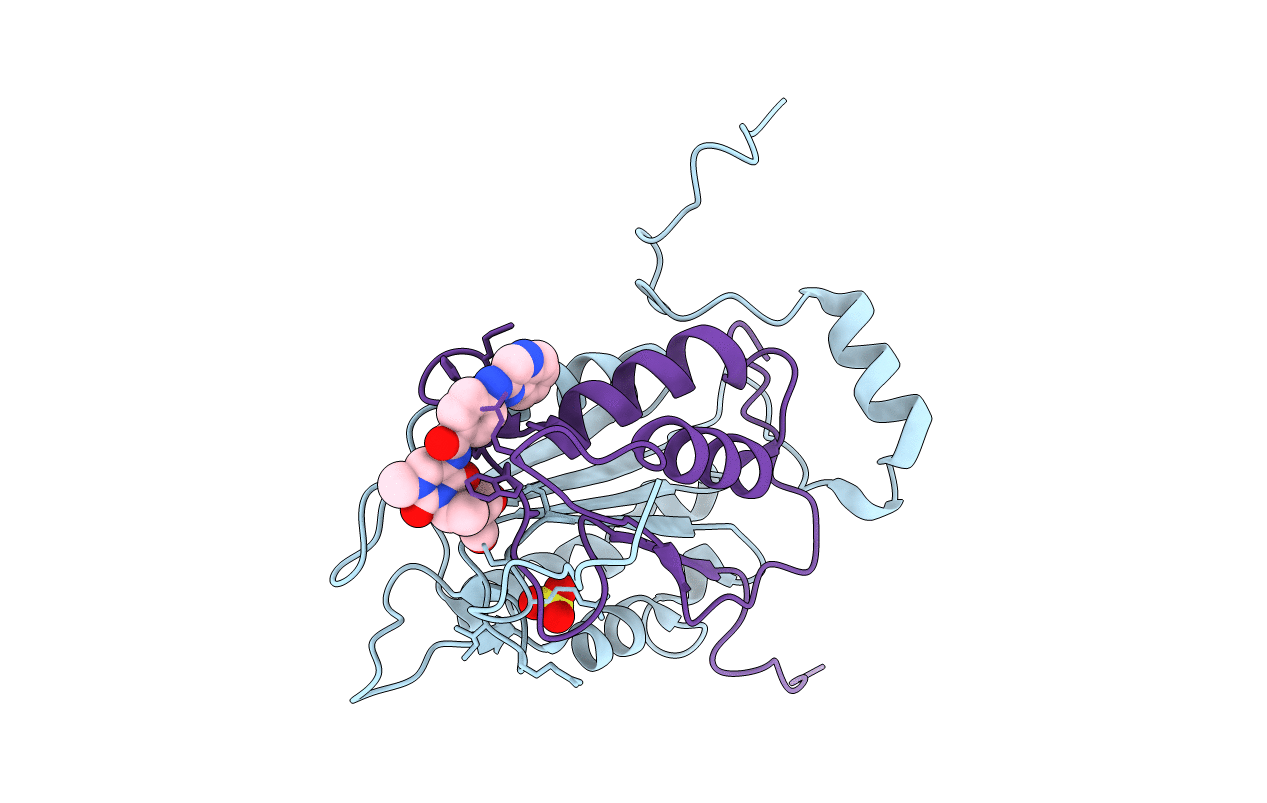 6F6R image