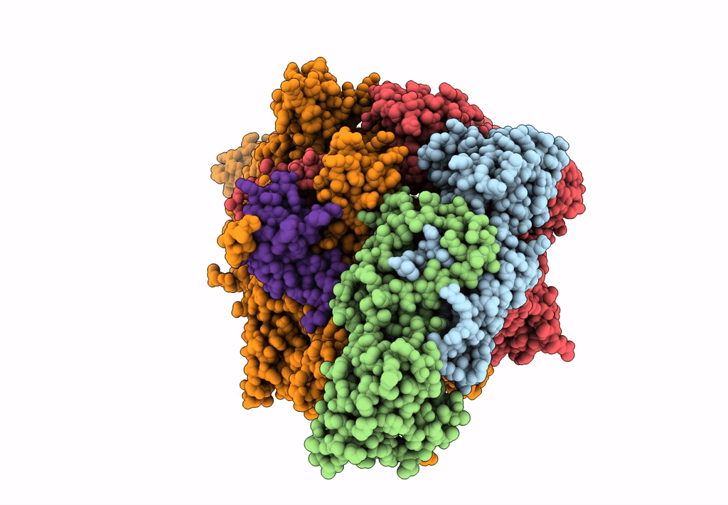 6F6W image