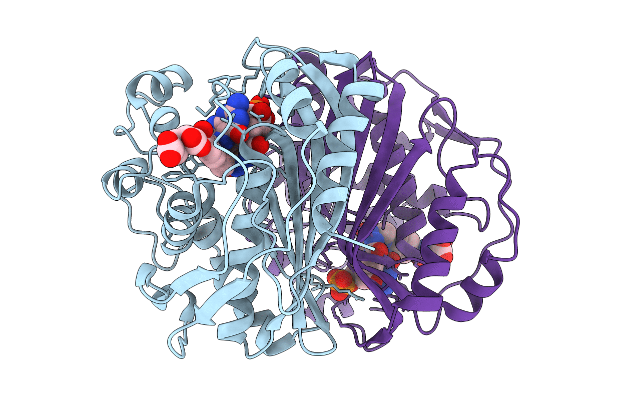 6F6Z image