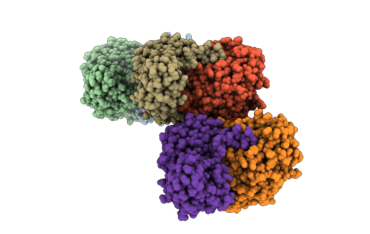 6F77 image