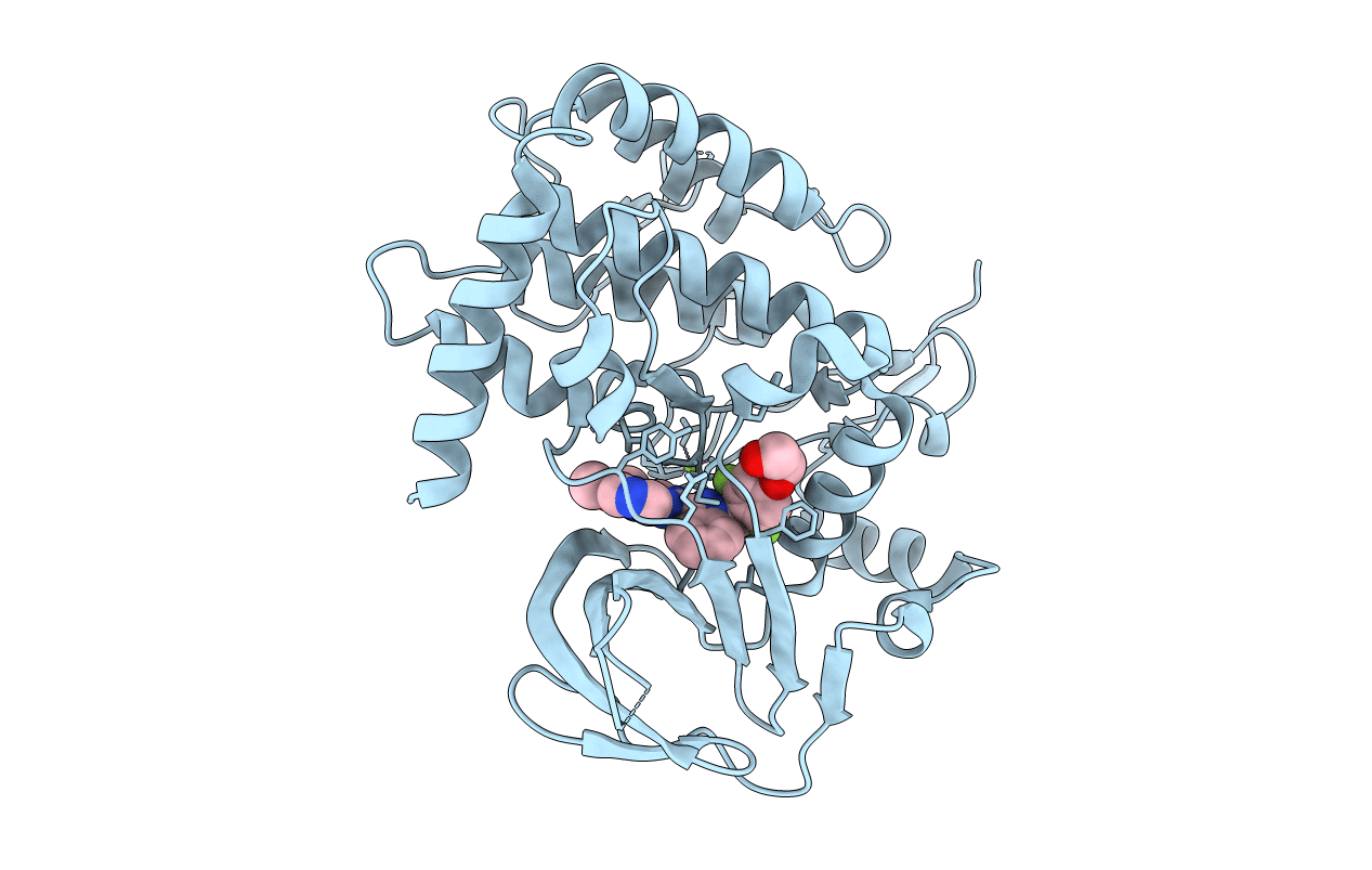6F7B image