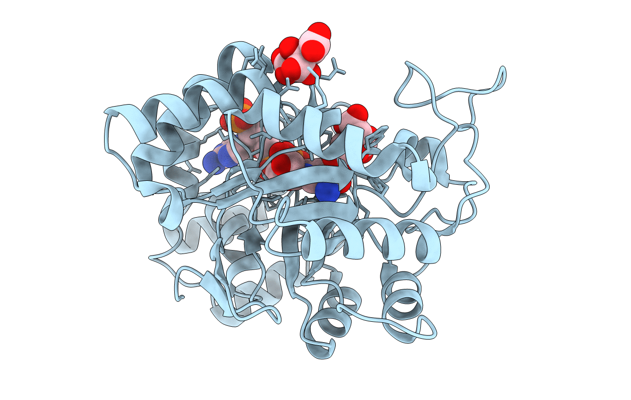 6F82 image