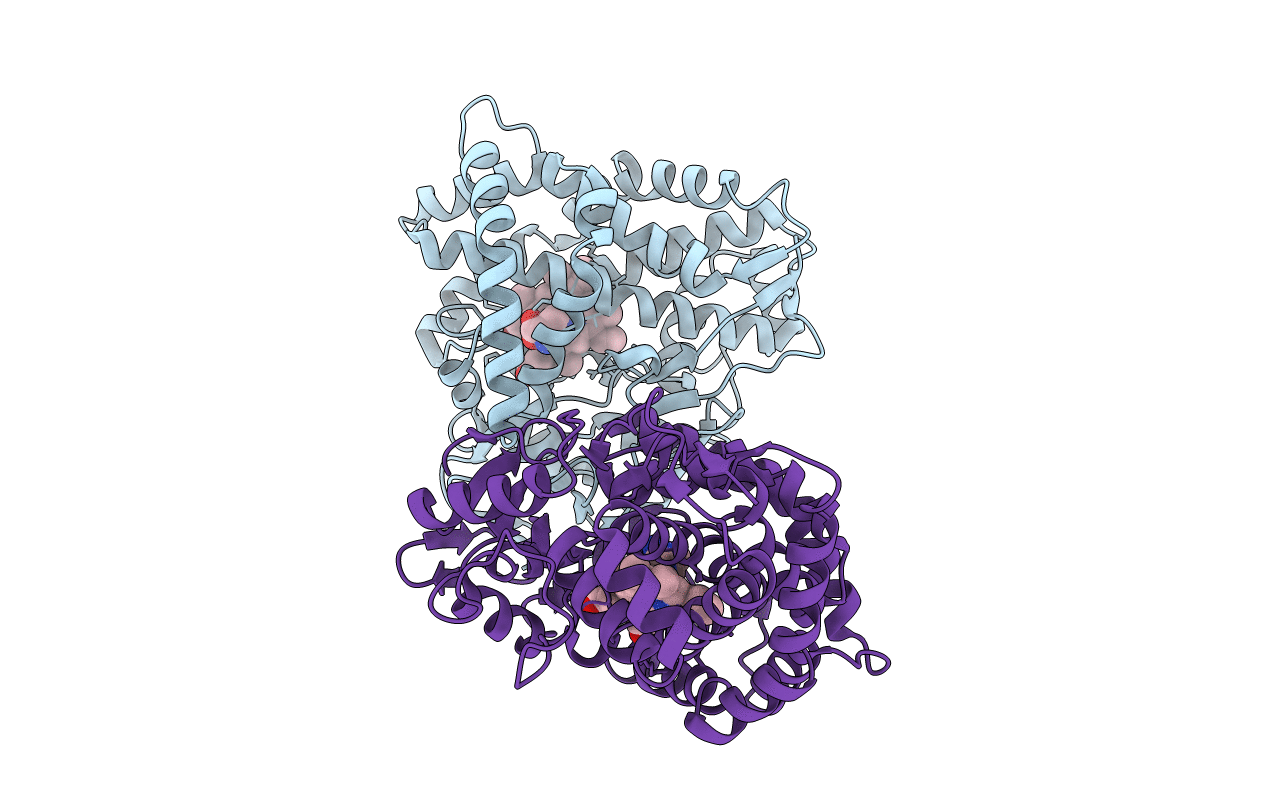6F85 image