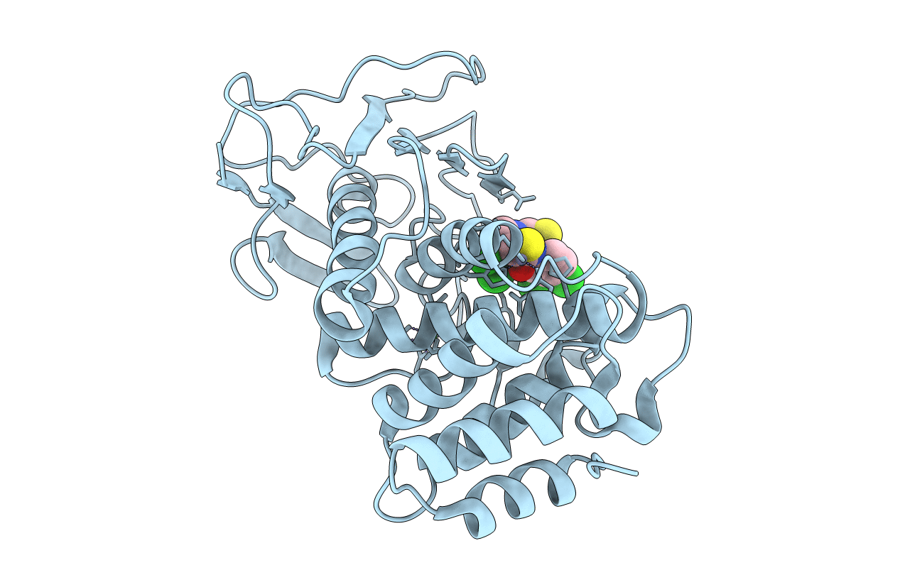 6F8B image