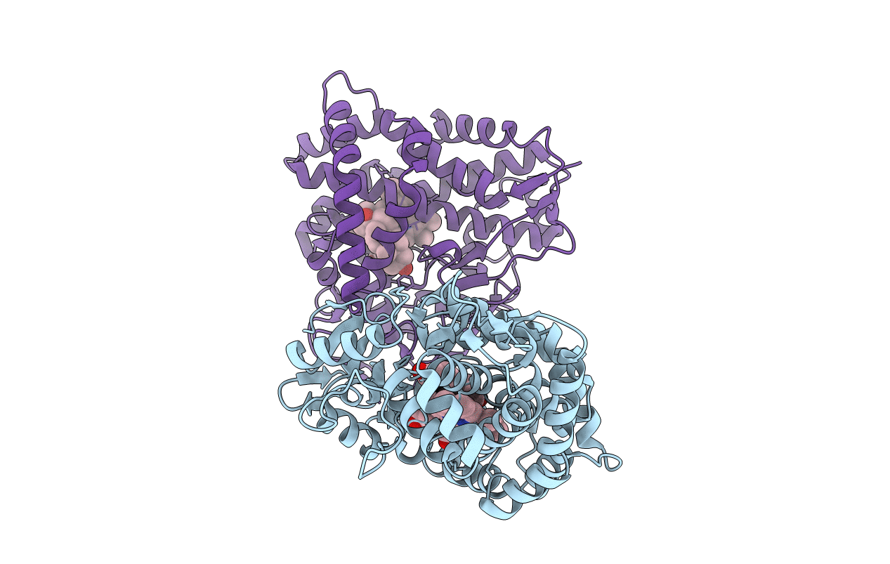 6F8C image