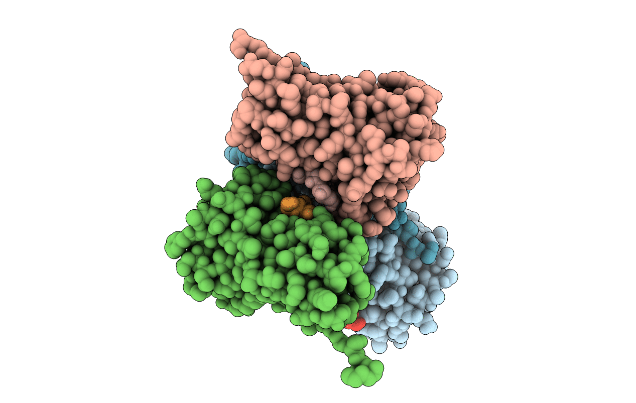 6F8G image