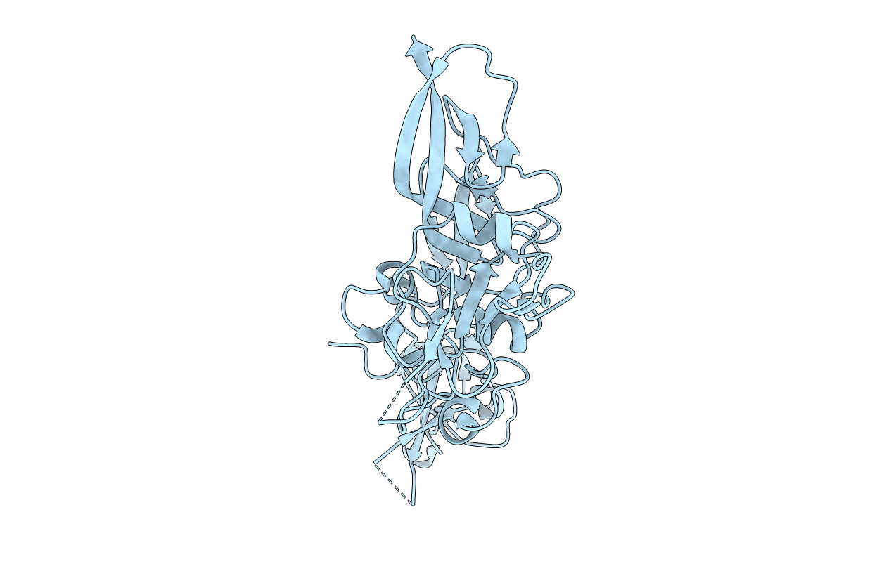 6F8P image