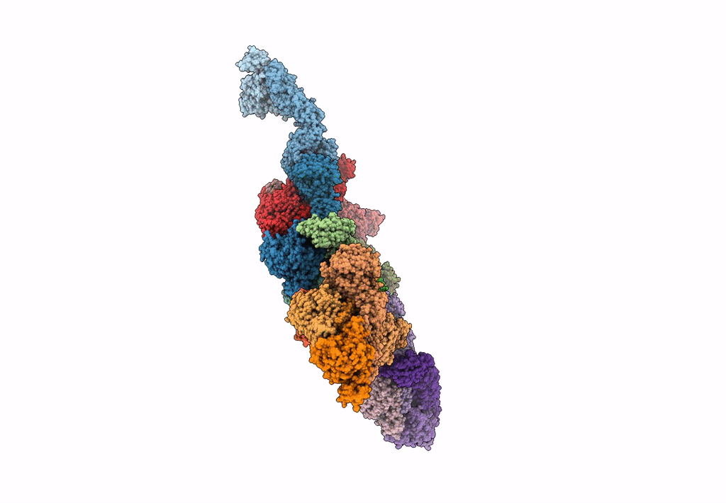 6F9B image