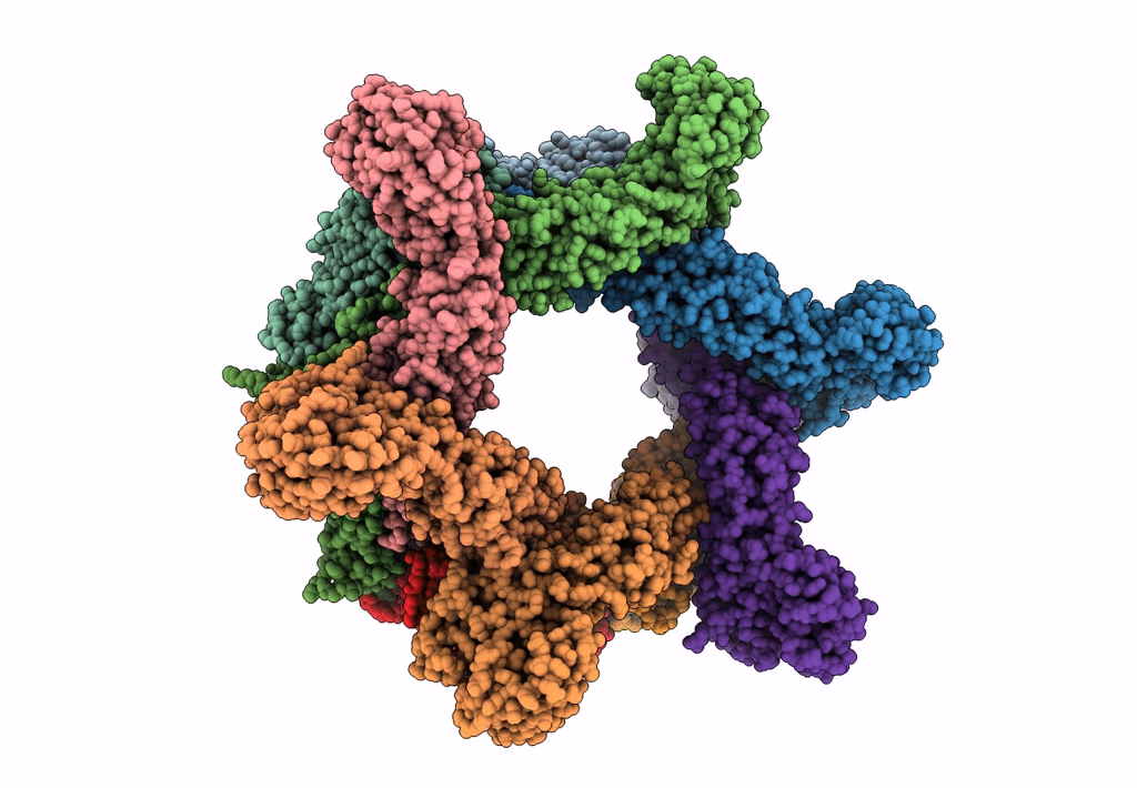 6F9D image