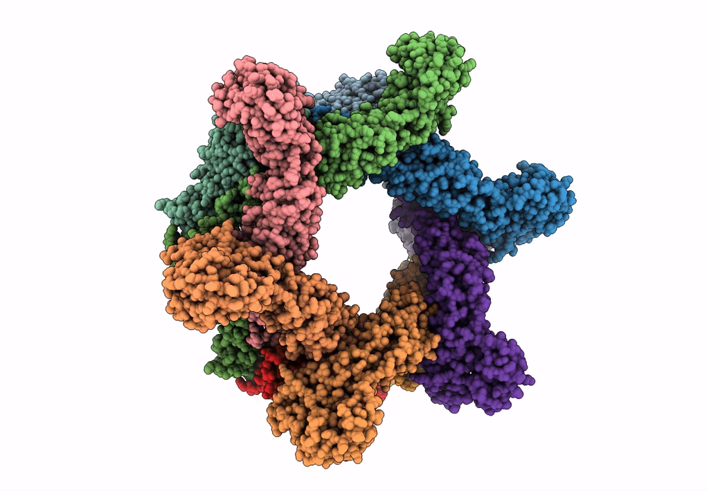 6F9E image