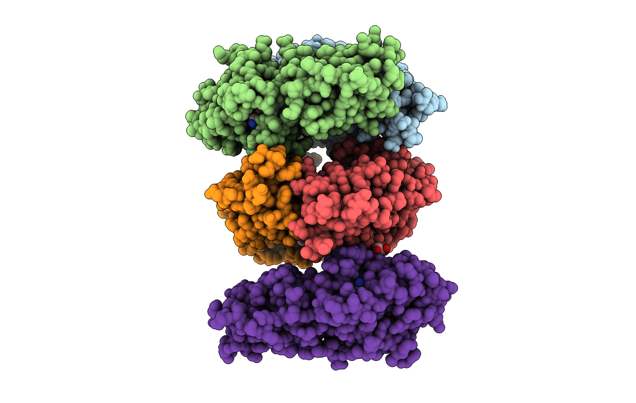 6F9G image