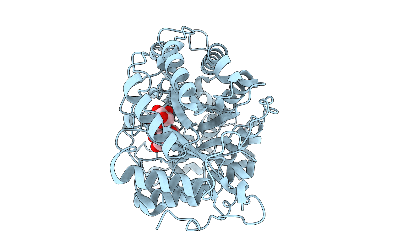 6F9H image