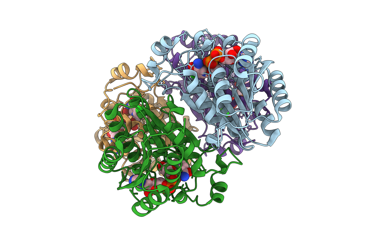 6F9Q image
