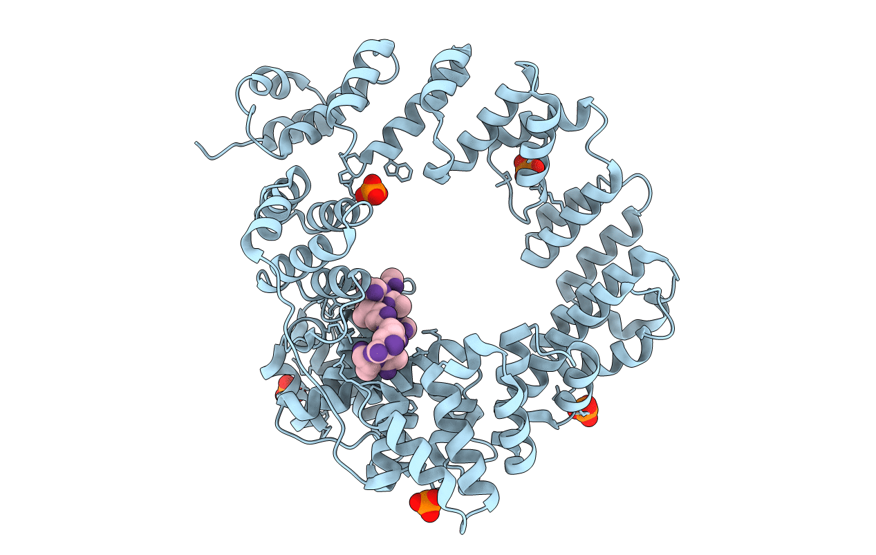 6FBT image