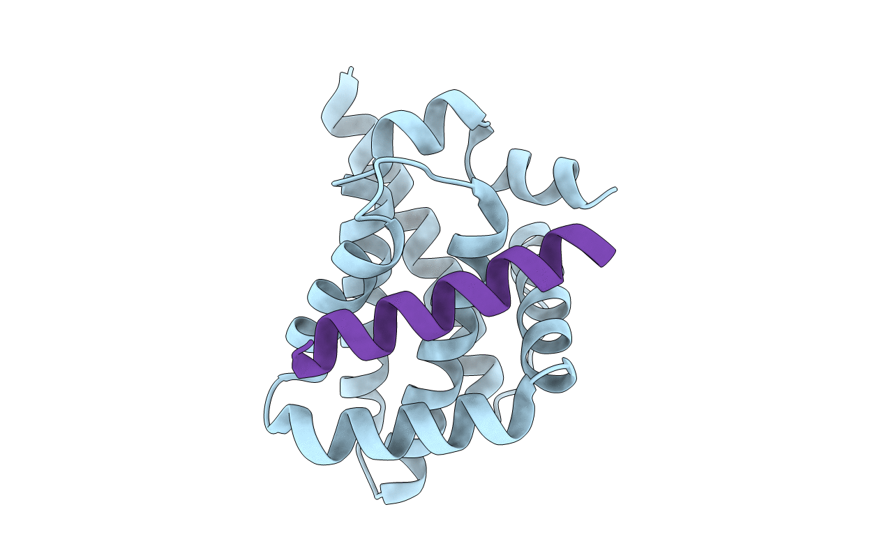 6FBX image