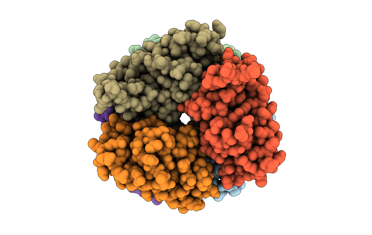 6FCO image