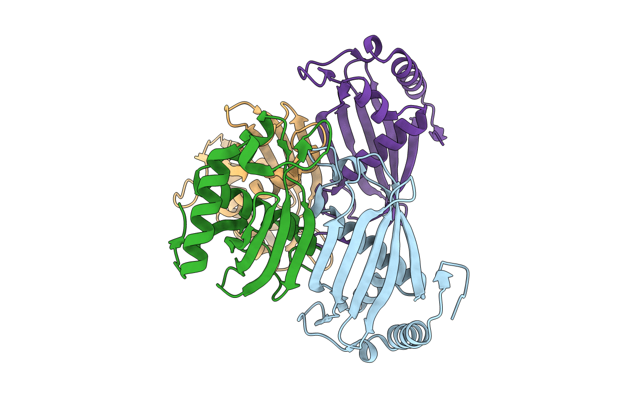 6FDG image