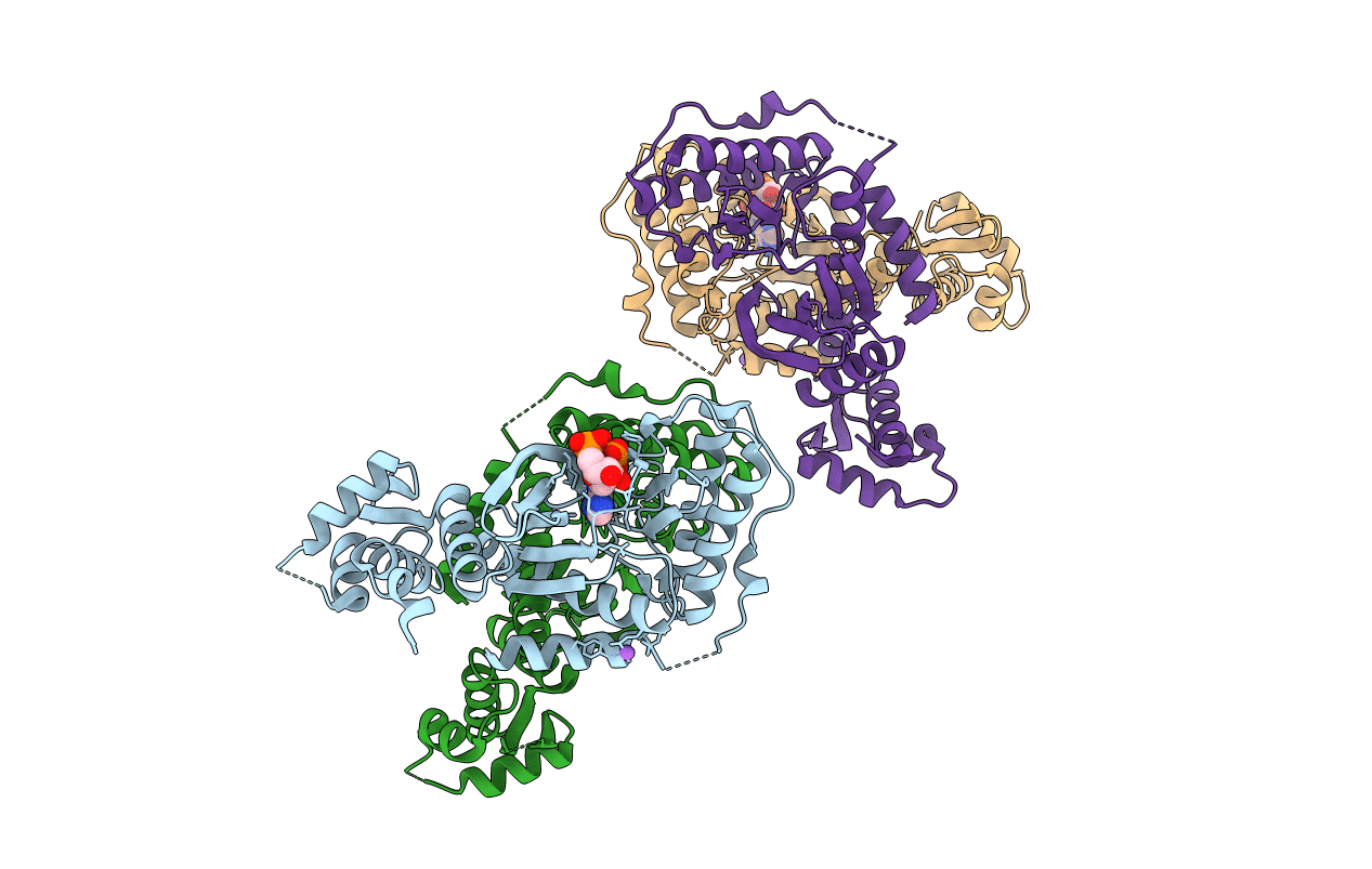 6FDM image