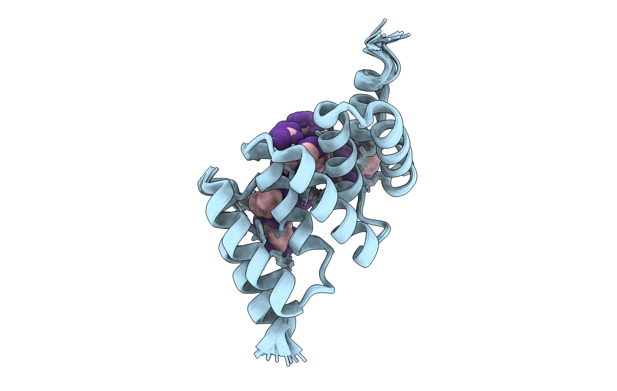 6FDP image
