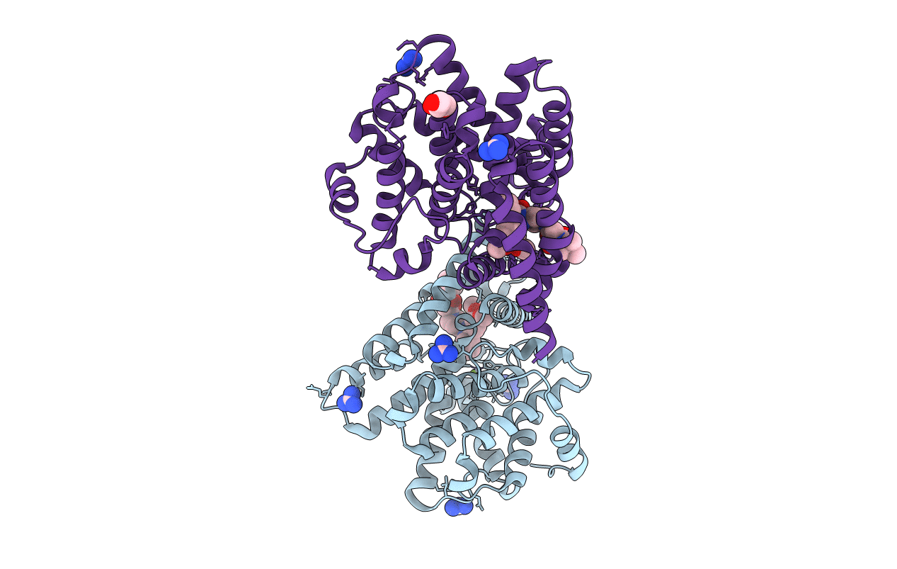 6FDS image