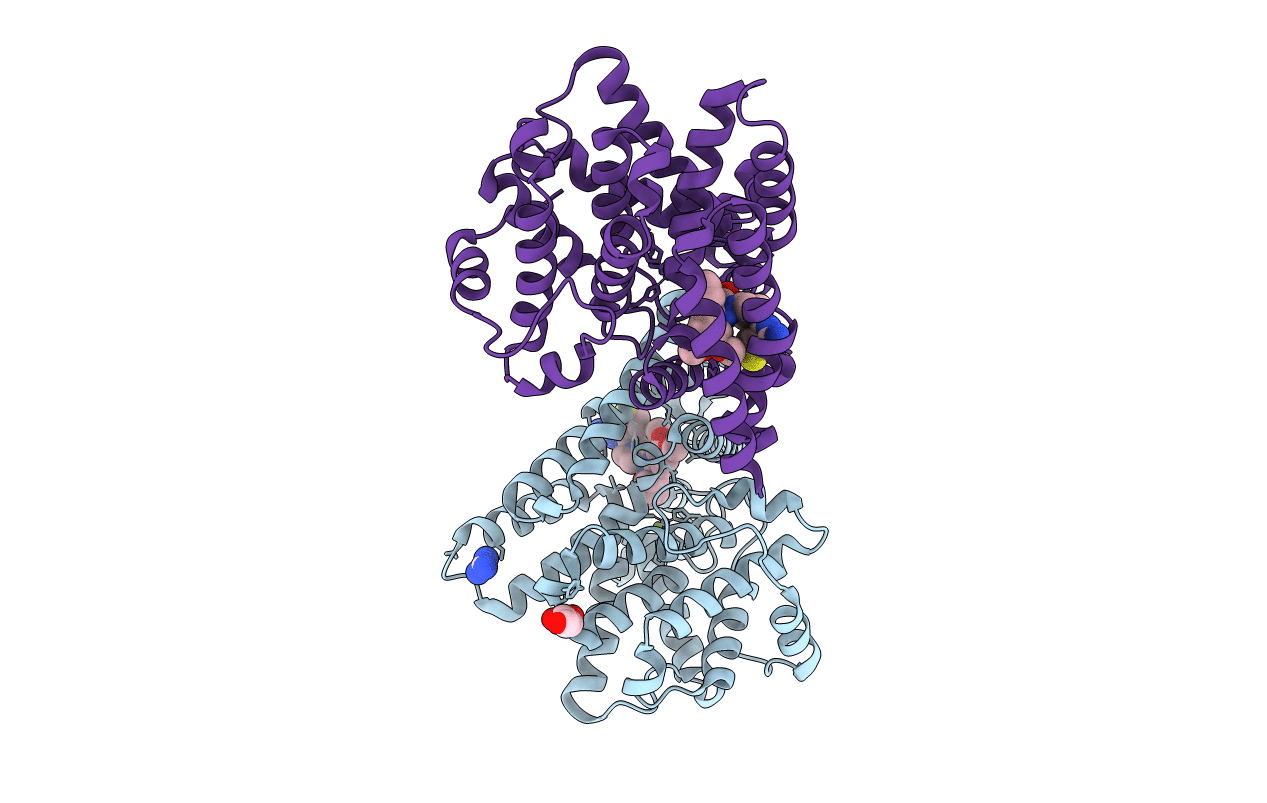 6FDW image