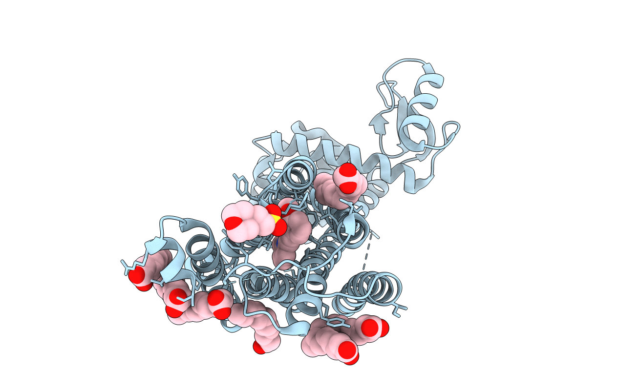 6FFI image