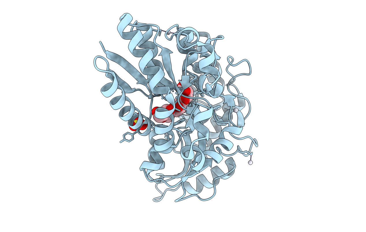 6FFL image