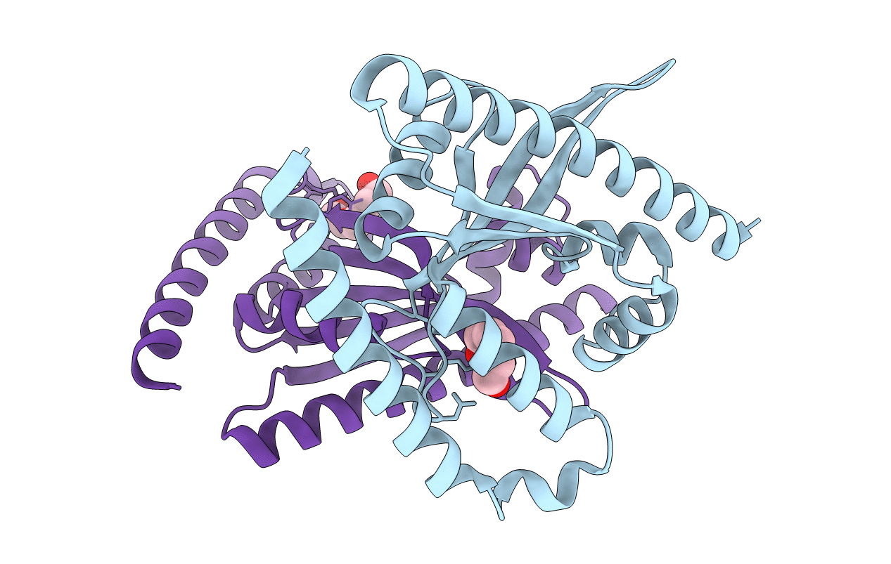 6FGJ image
