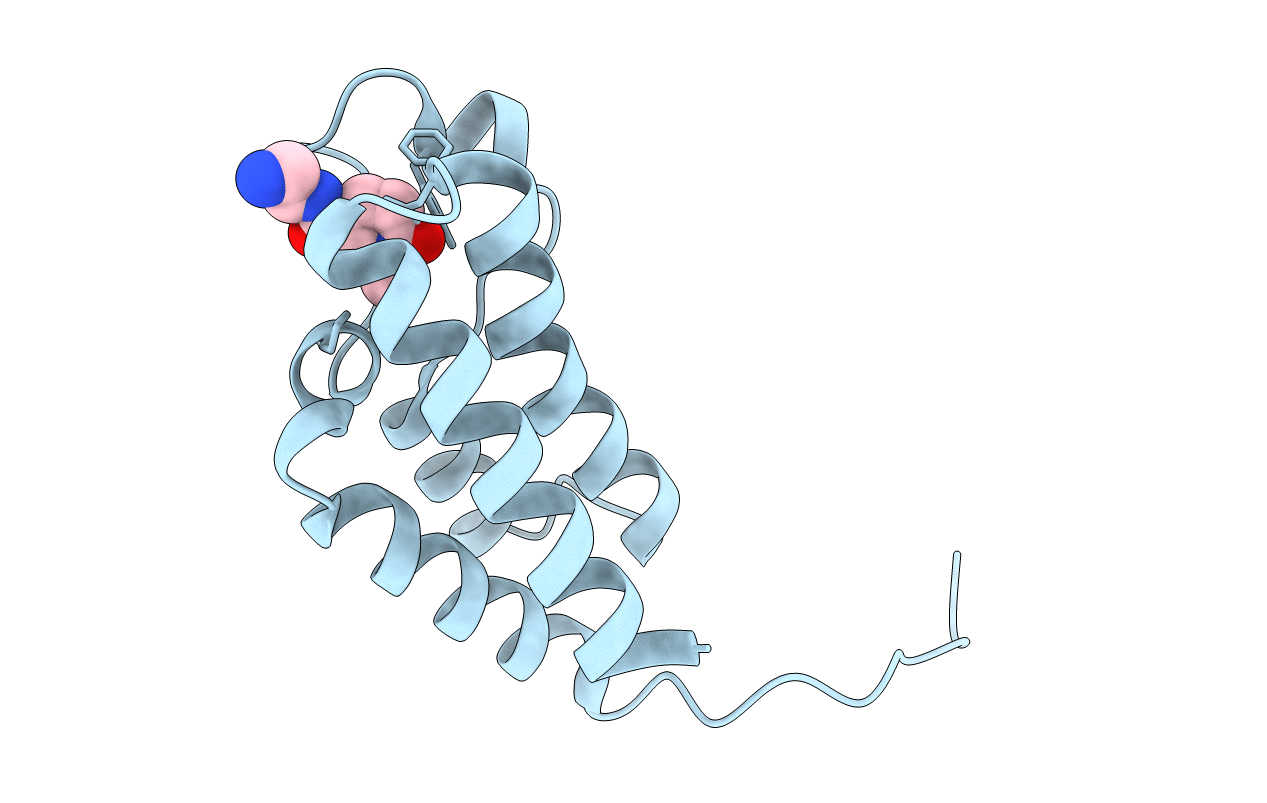 6FH6 image