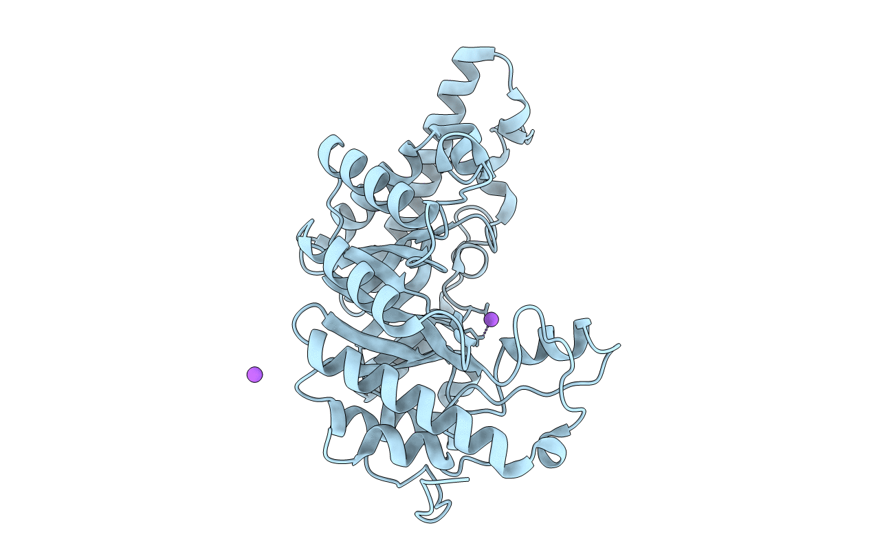6FHF image