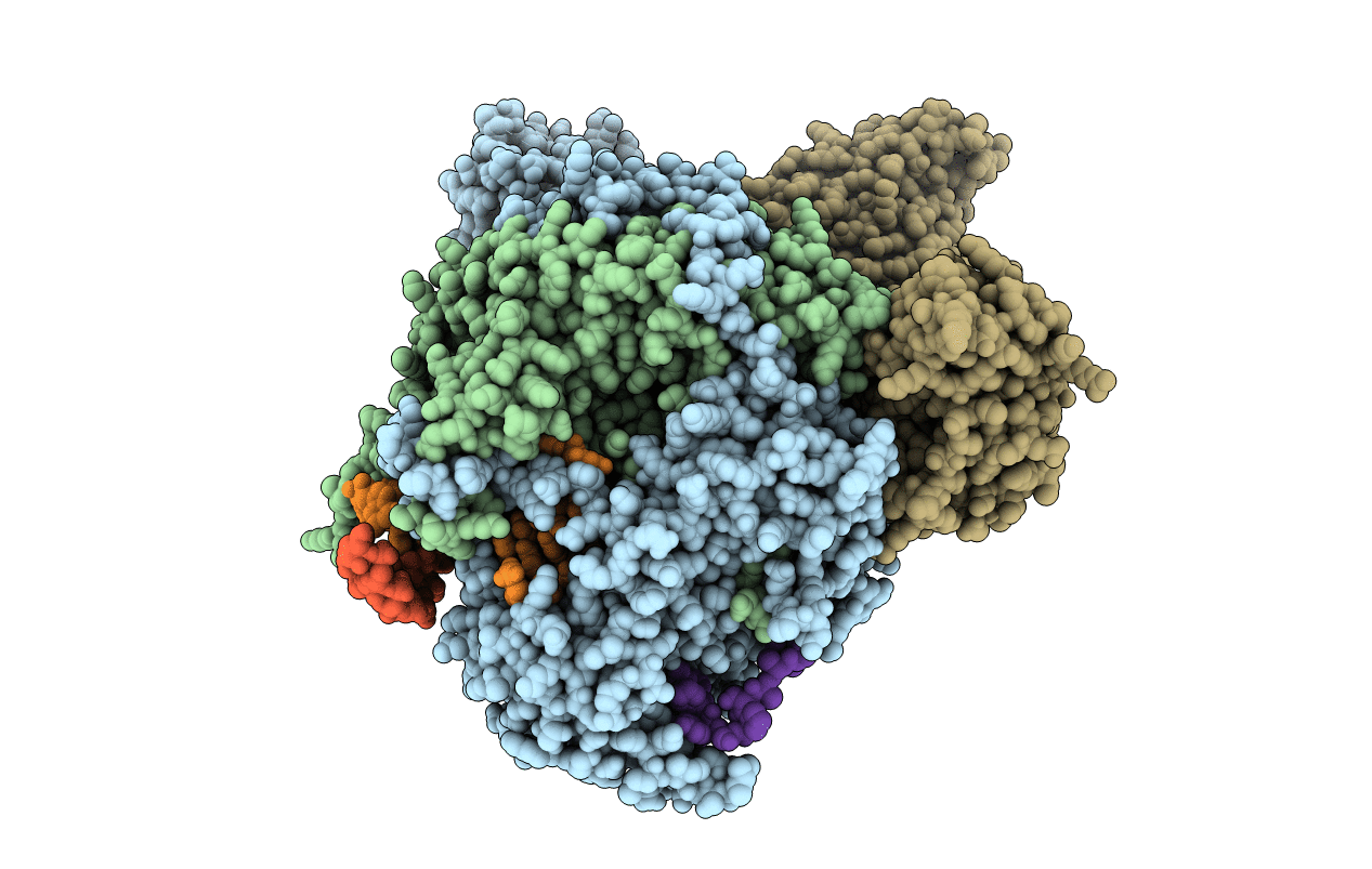 6FHI image