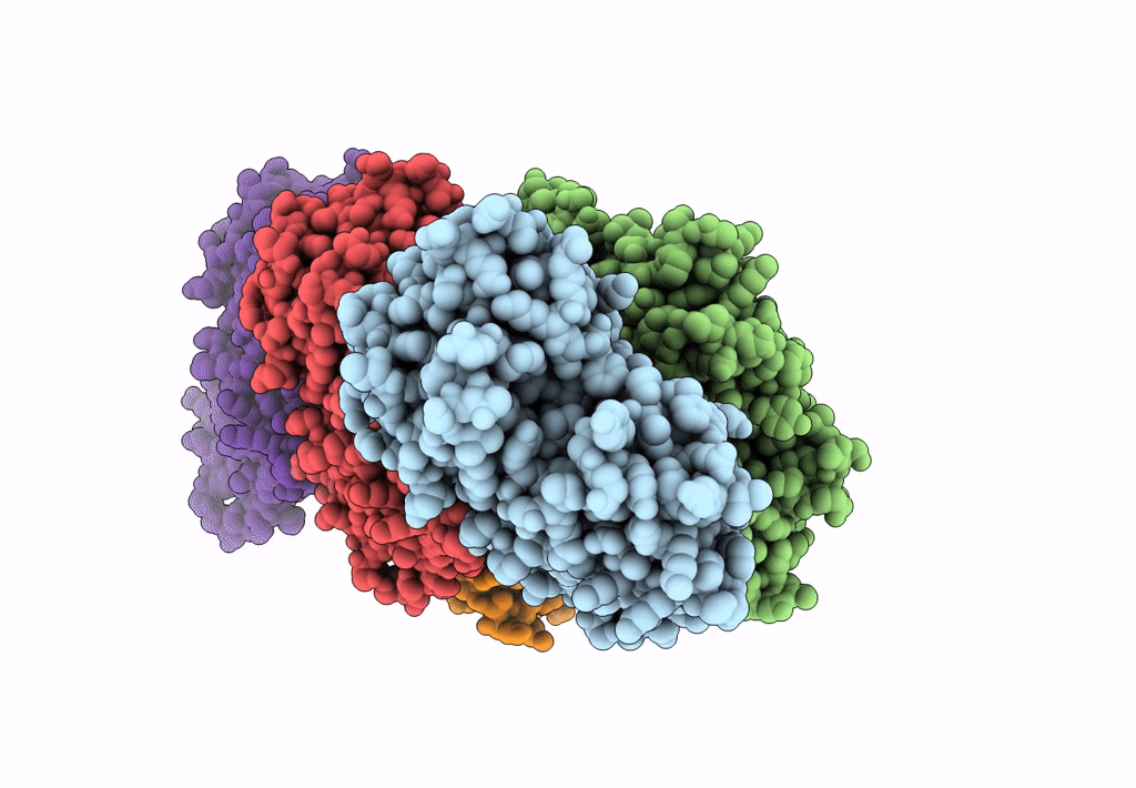 6FHL image