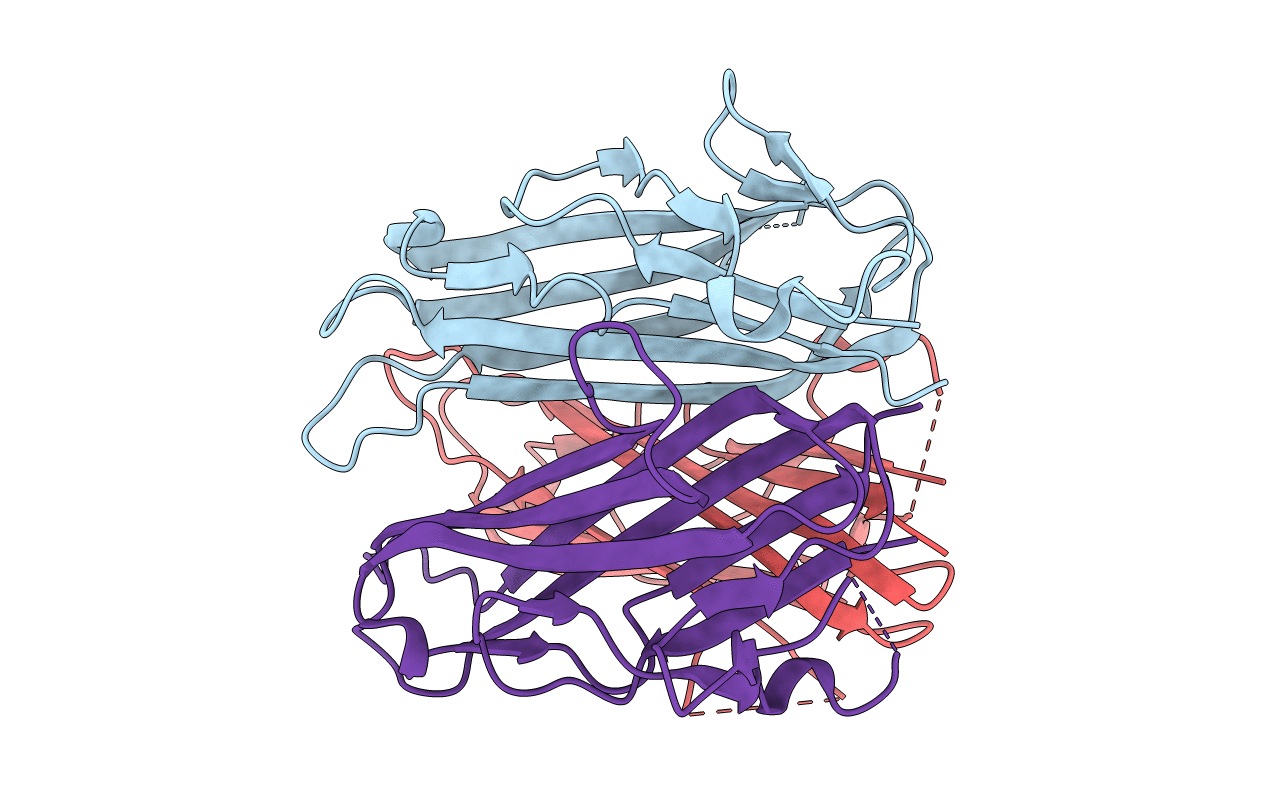6FIB image