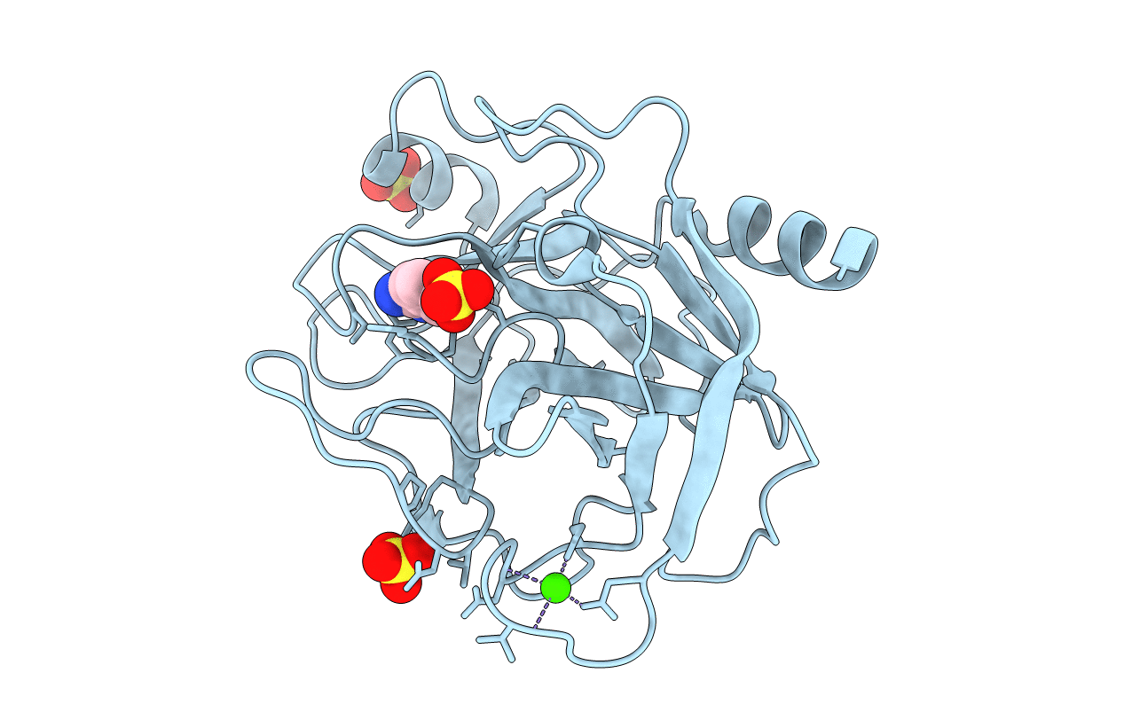 6fid image