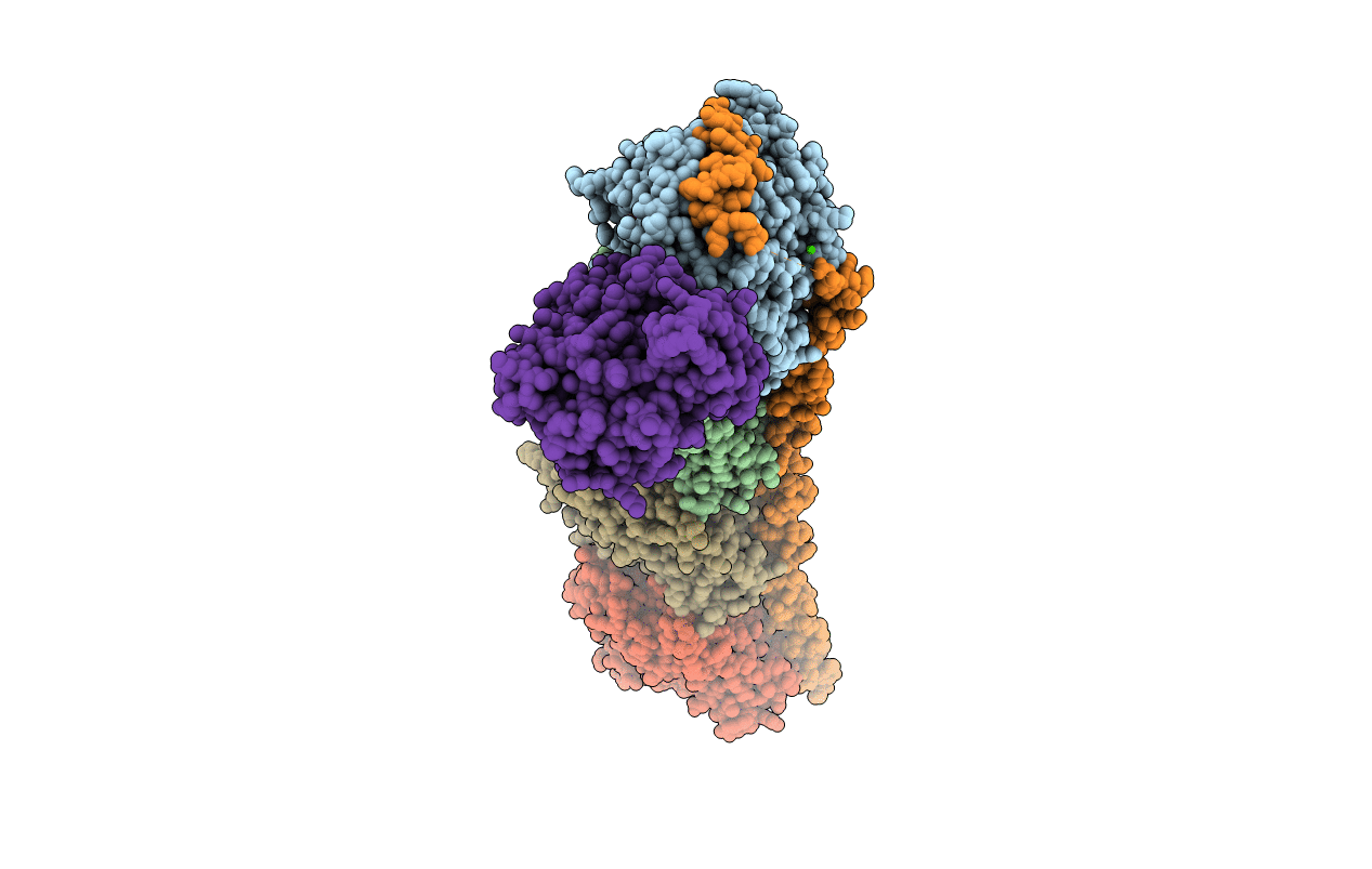 6FKL image