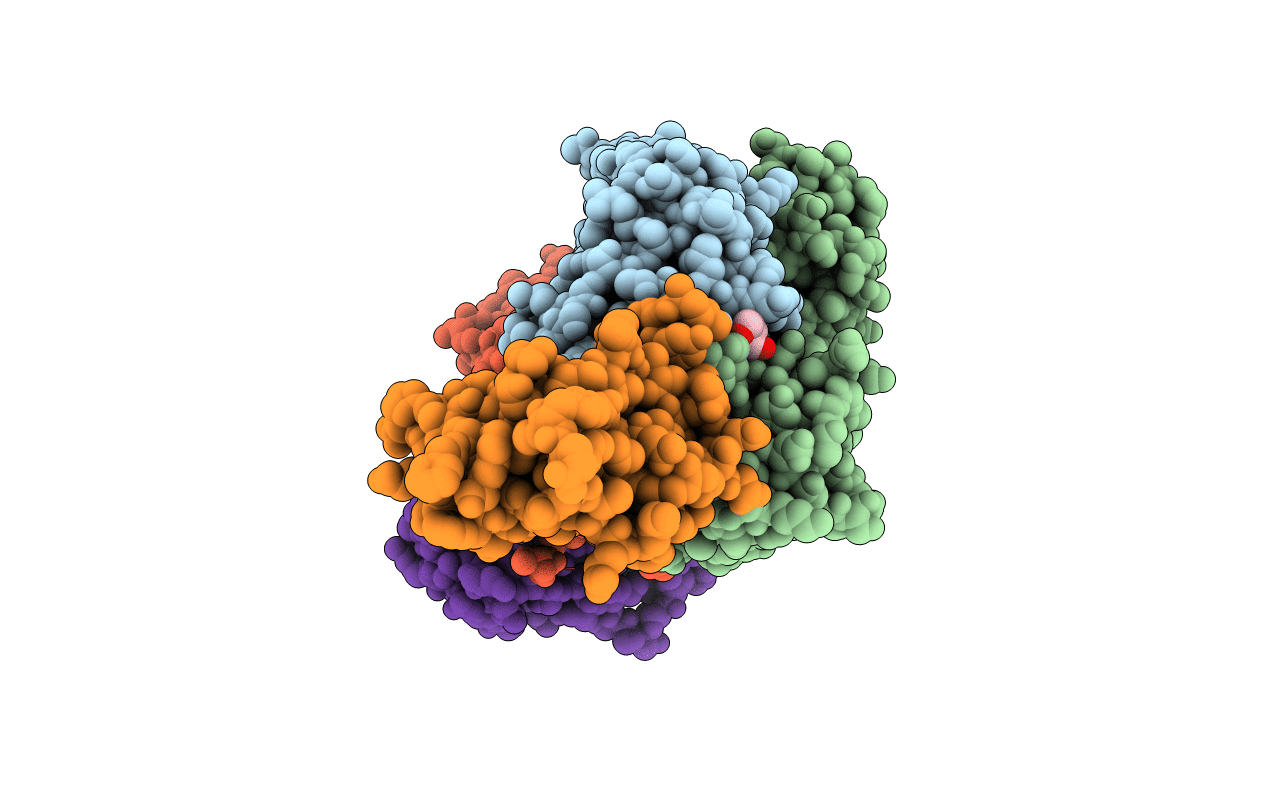 6FLC image