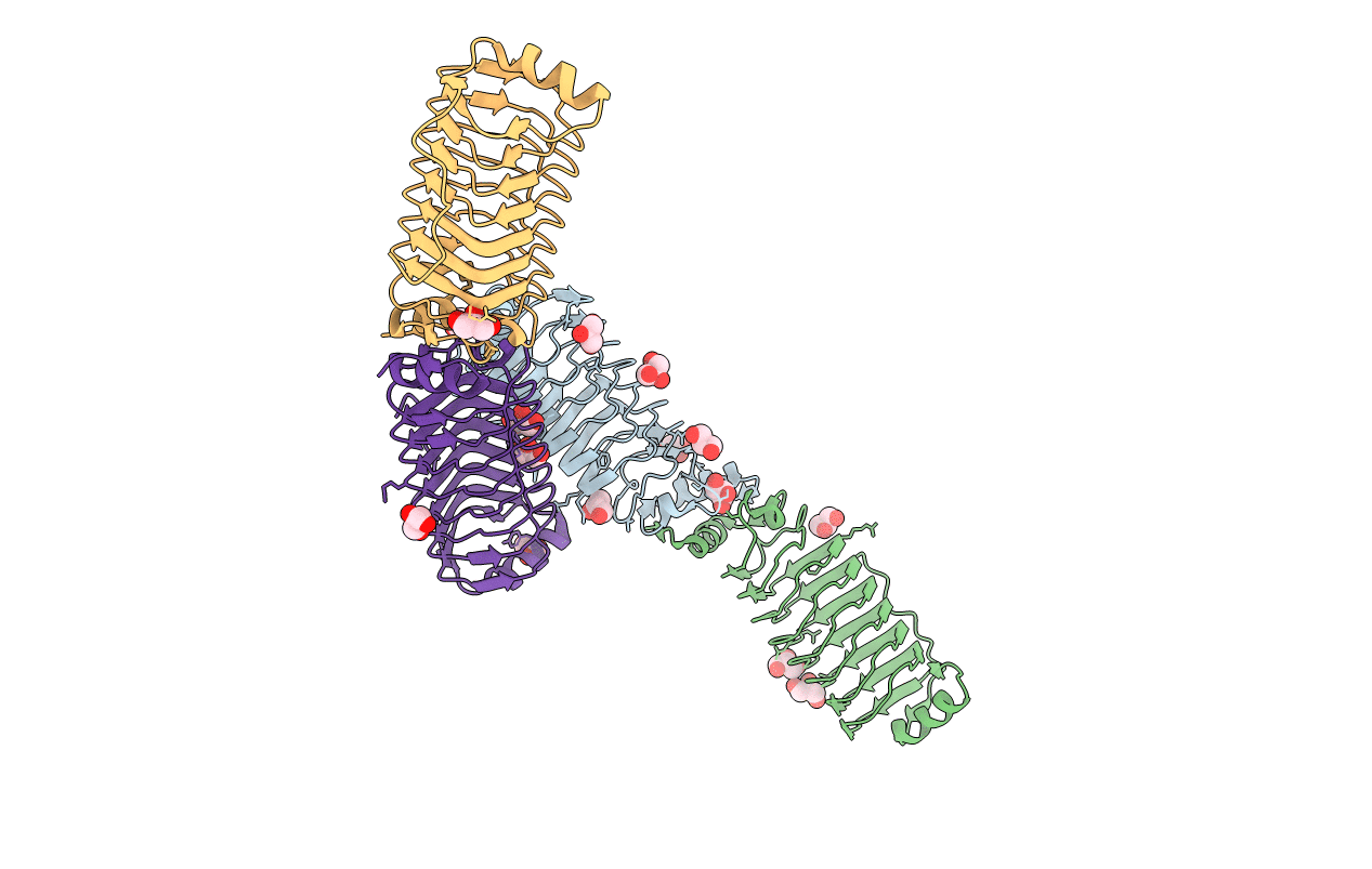 6FLS image