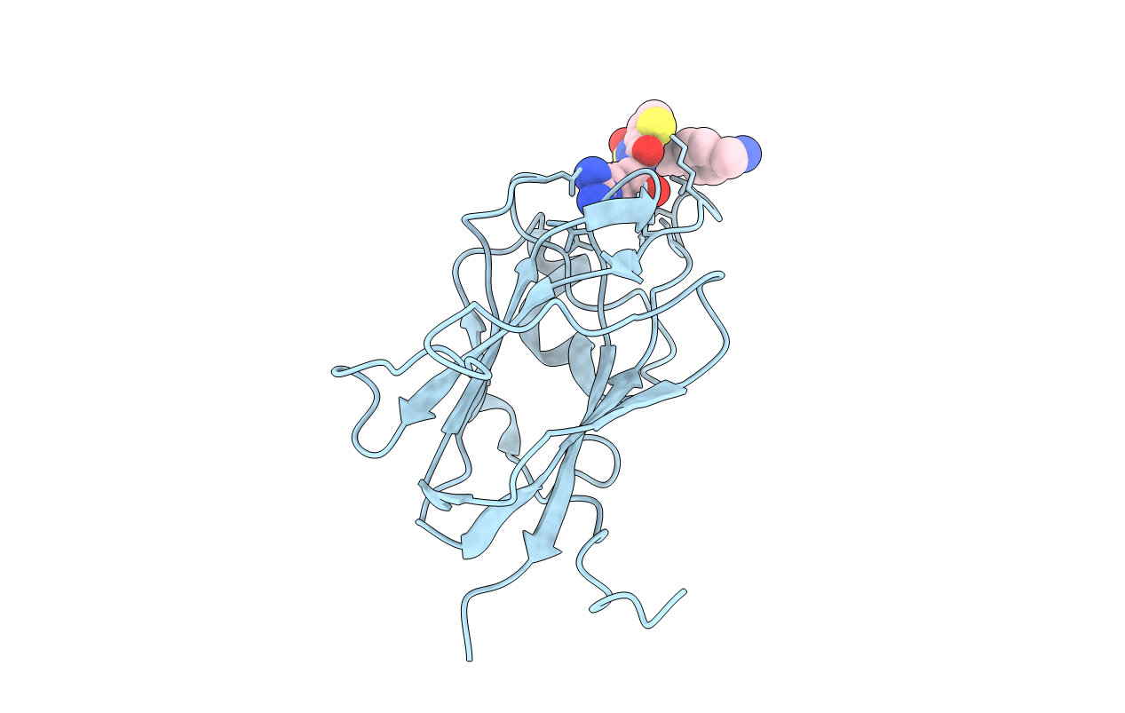 6FMC image