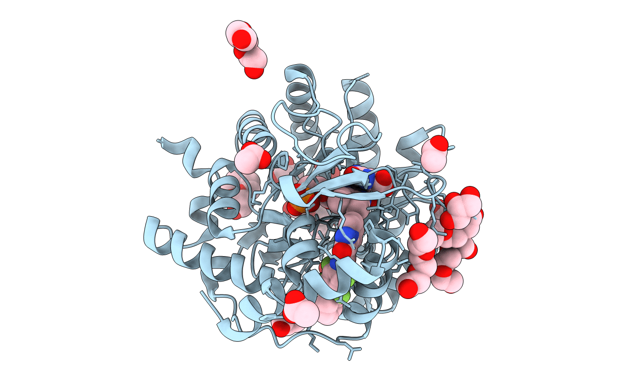 6FMD image