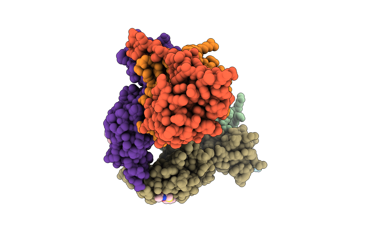 6FMI image