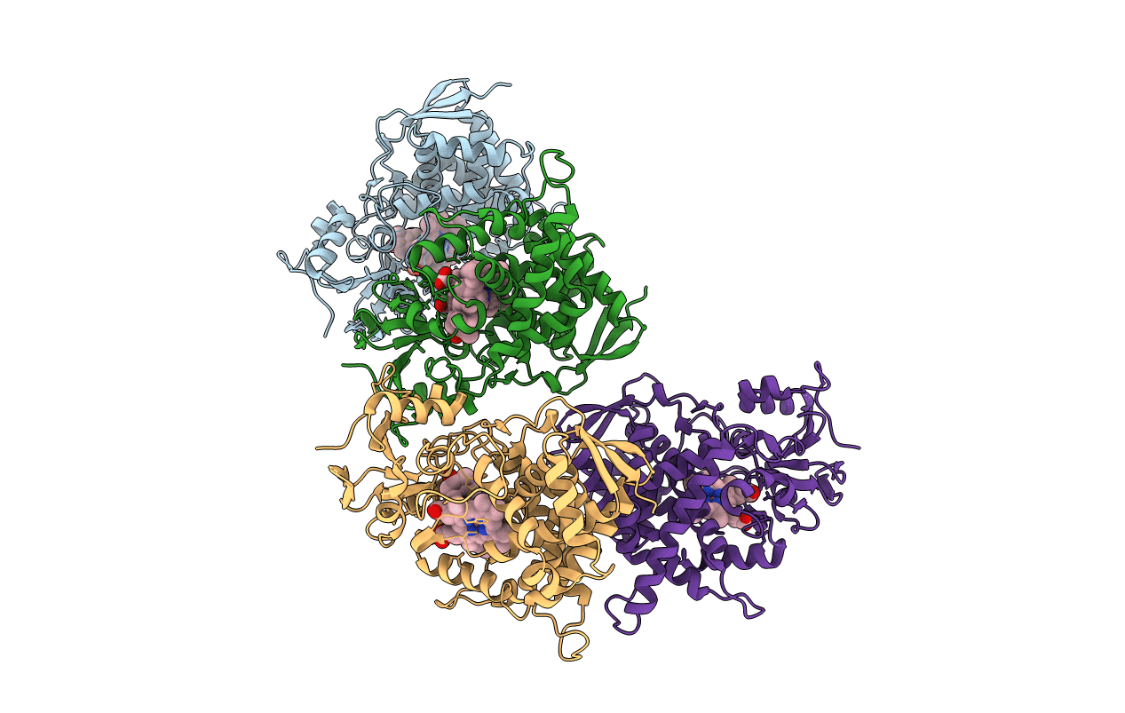 6FMO image