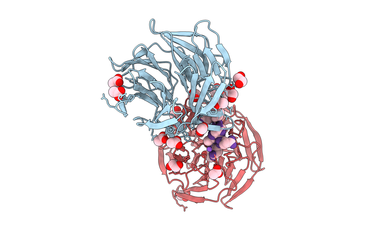 6FMP image