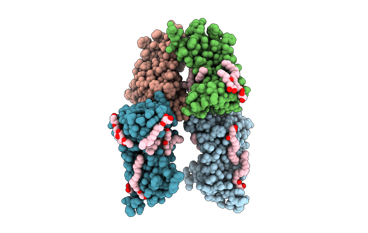 6FMS image