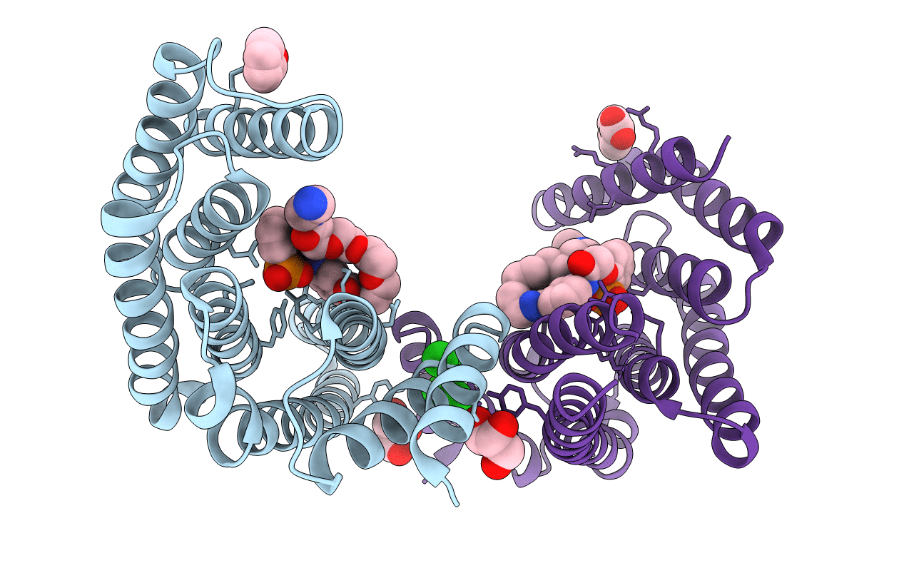 6FNA image