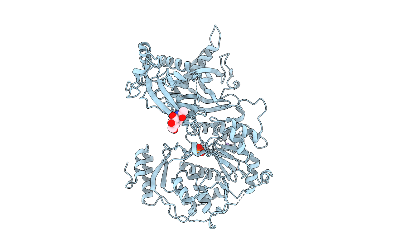 6FOA image