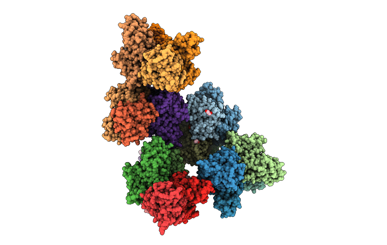 6FP6 image
