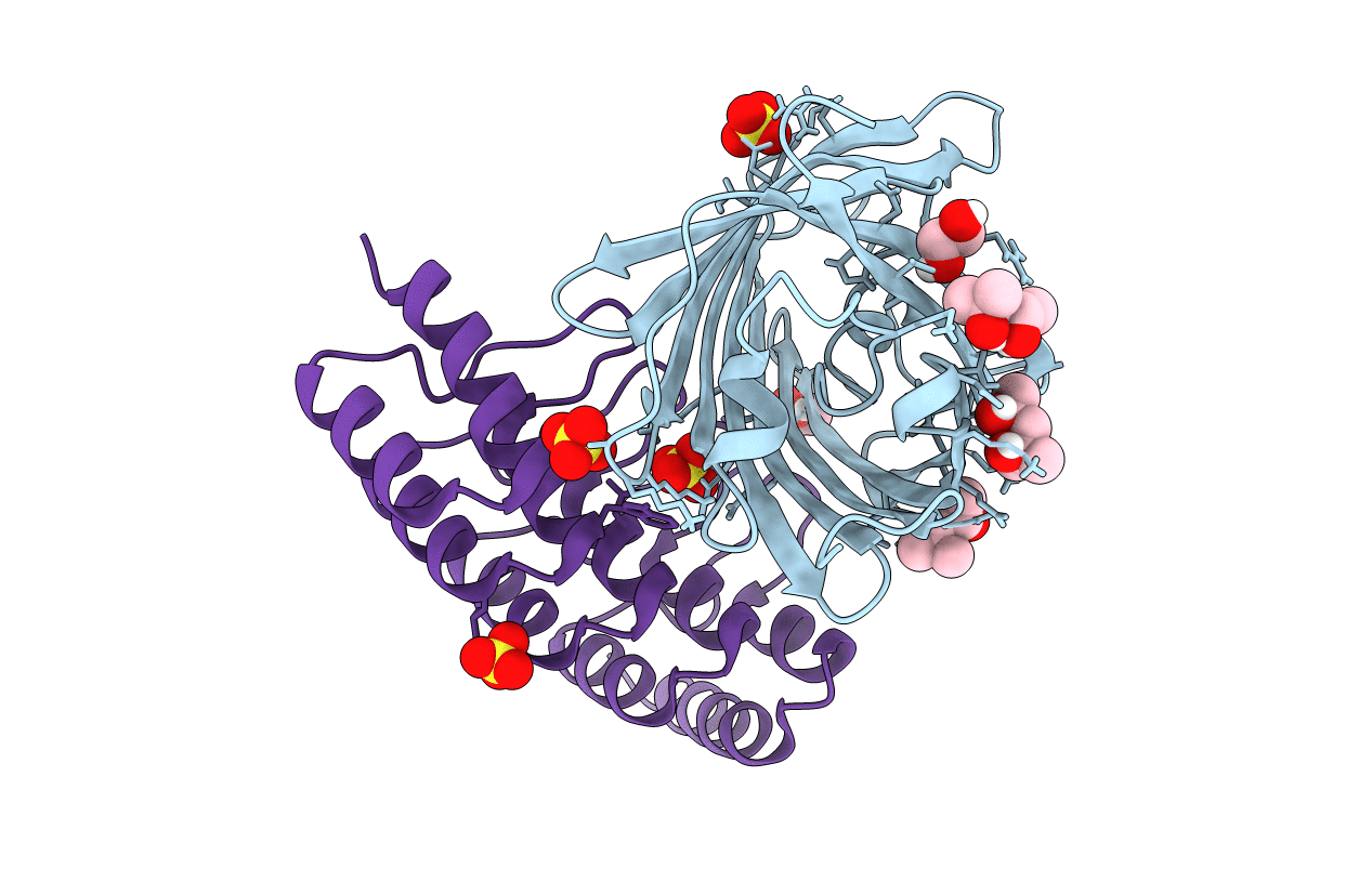 6FP8 image
