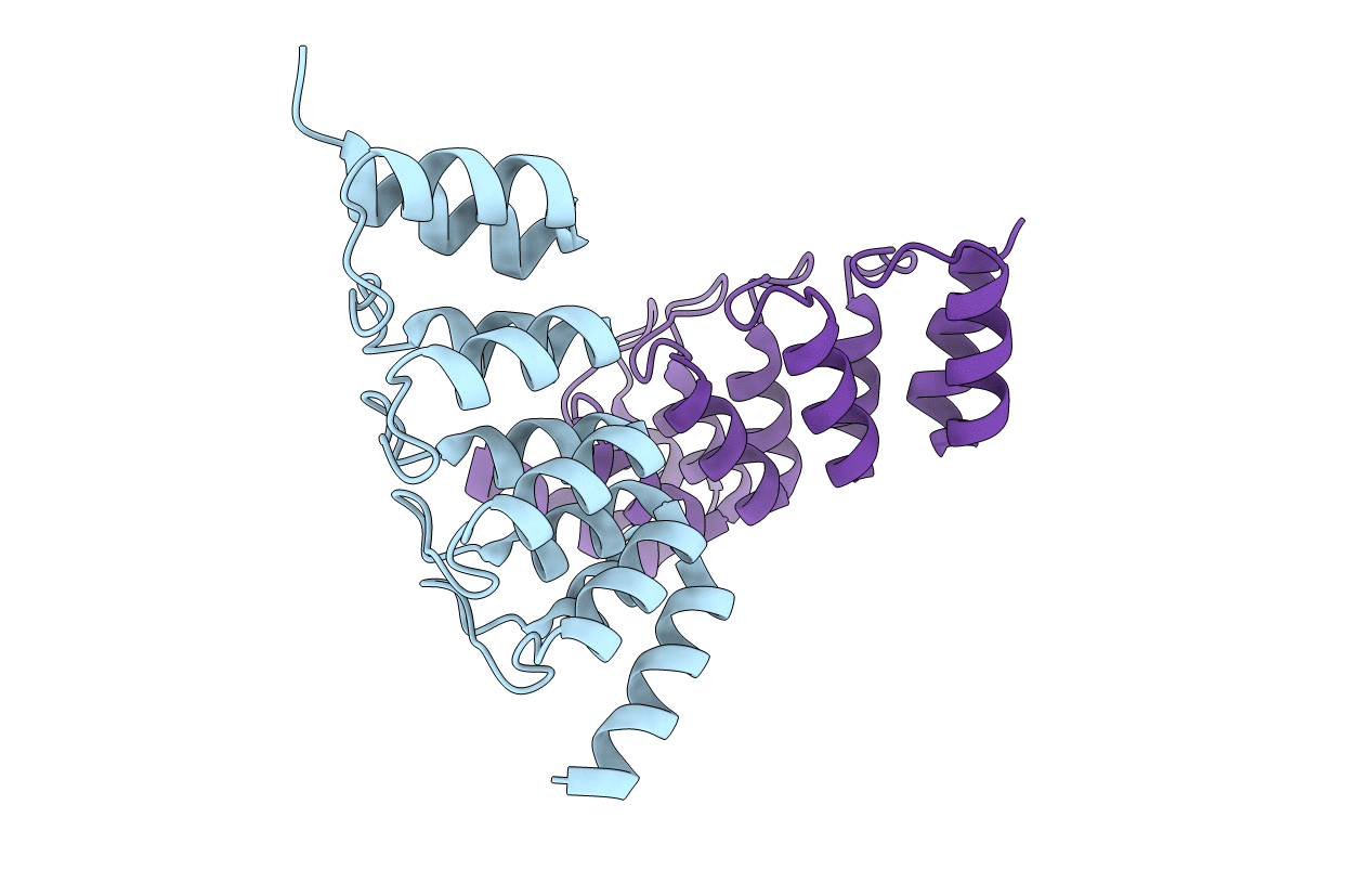6FPA image